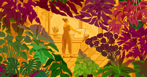 The Ultimate Guide To Selling Plants Online