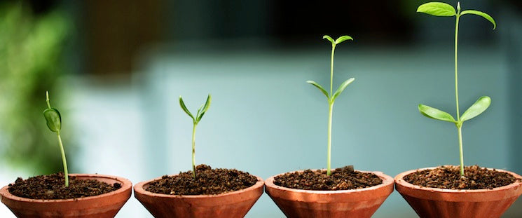 The 10% Strategy: Growing Your Business by Making Small Incremental Changes