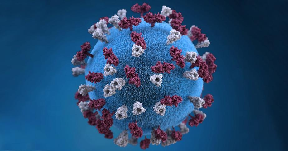 Corona Virus Crisis: A Risk For Online Commerce?