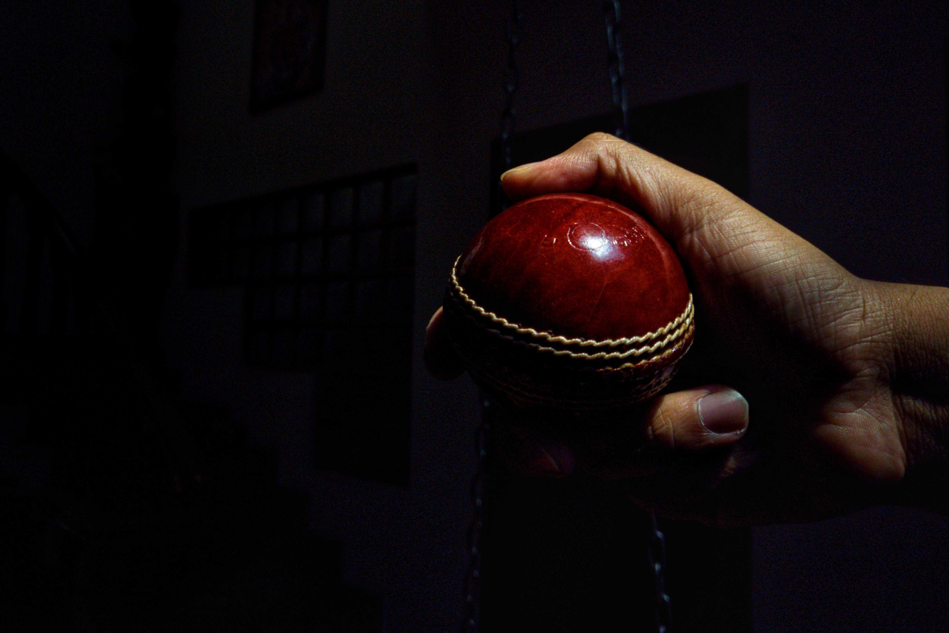 Increasing Your Sales During the IPL Season!